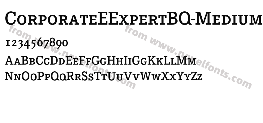 CorporateEExpertBQ-MediumPreview