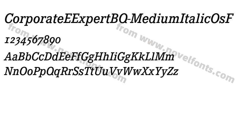 CorporateEExpertBQ-MediumItalicOsFPreview
