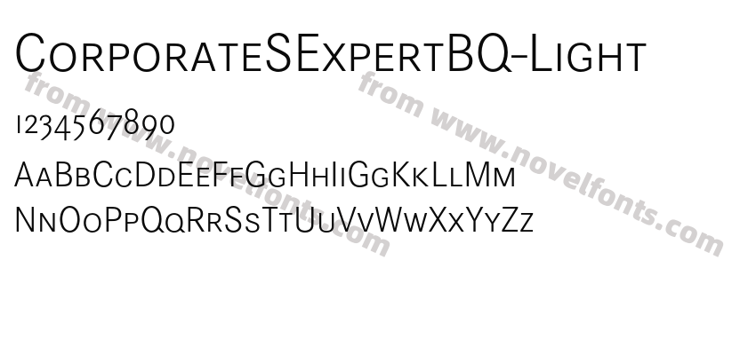 CorporateSExpertBQ-LightPreview