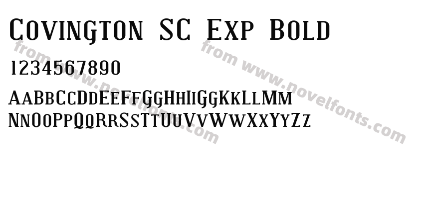 Covington SC Exp BoldPreview