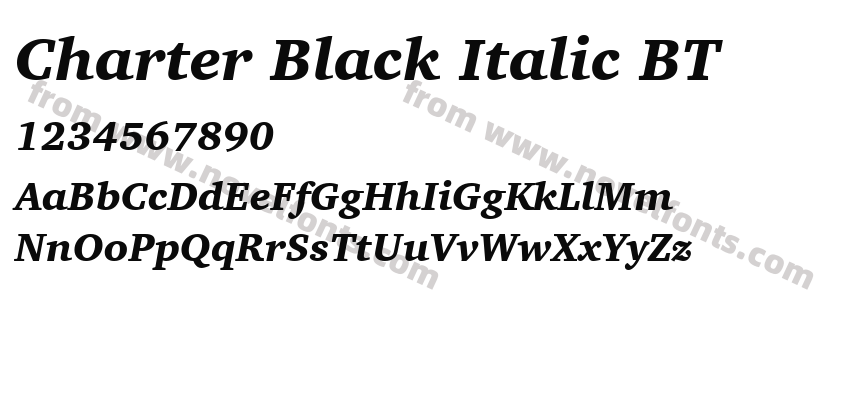 Charter Black Italic BTPreview