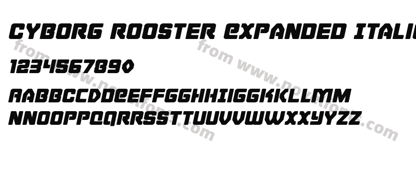 Cyborg Rooster Expanded ItalicPreview