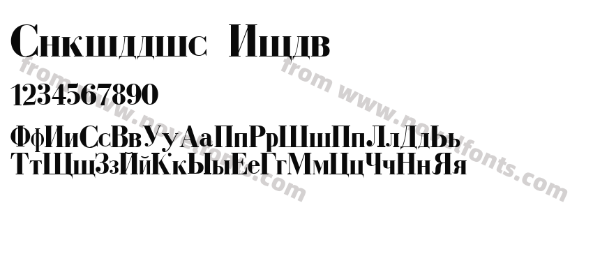 Cyrillic BoldPreview