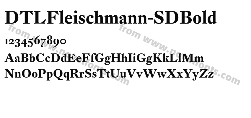 DTLFleischmann-SDBoldPreview