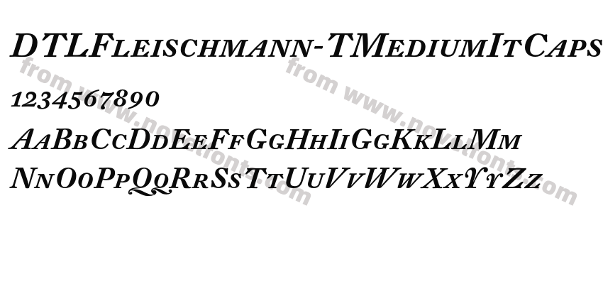 DTLFleischmann-TMediumItCapsPreview