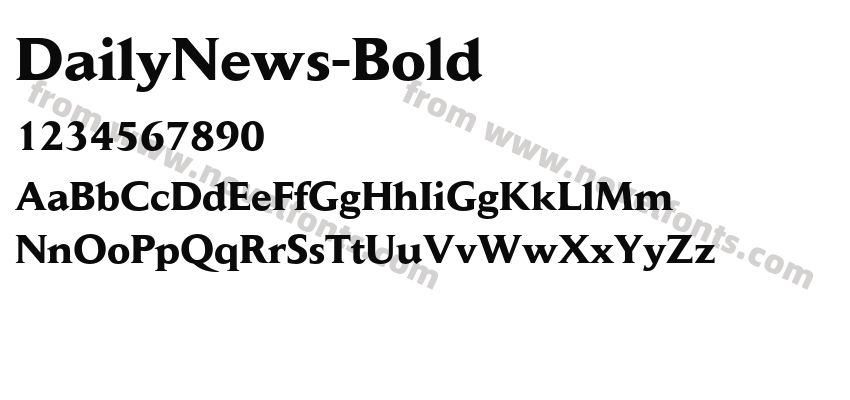 DailyNews-BoldPreview