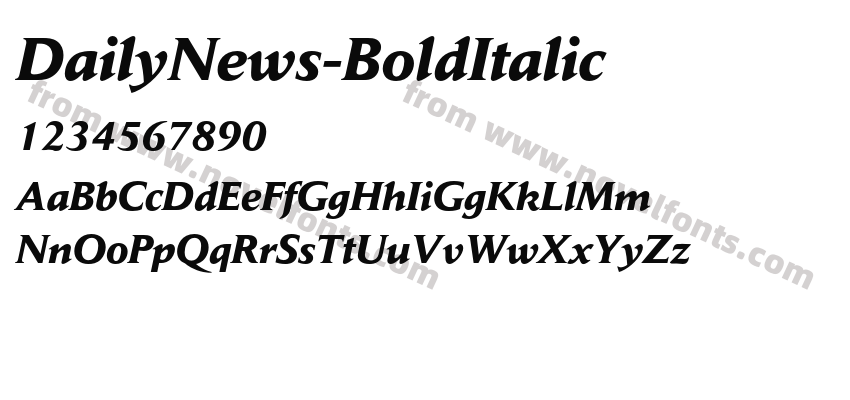 DailyNews-BoldItalicPreview