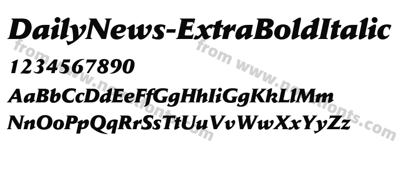 DailyNews-ExtraBoldItalicPreview