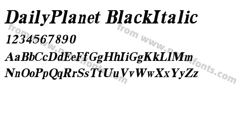 DailyPlanet BlackItalicPreview