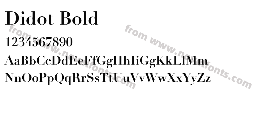 Didot BoldPreview