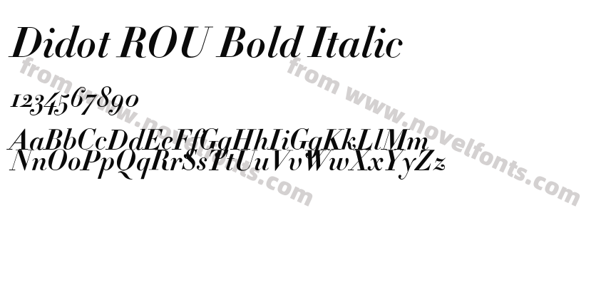 Didot ROU Bold ItalicPreview