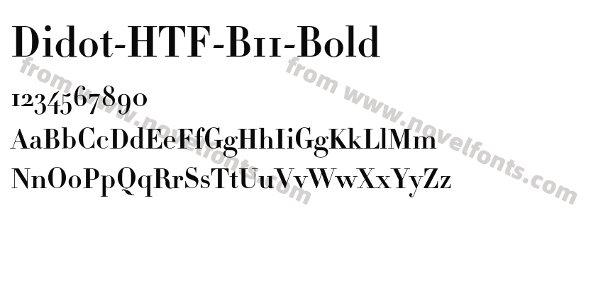 Didot-HTF-B11-BoldPreview