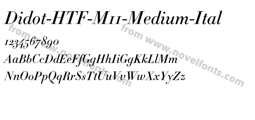 Didot-HTF-M11-Medium-ItalPreview