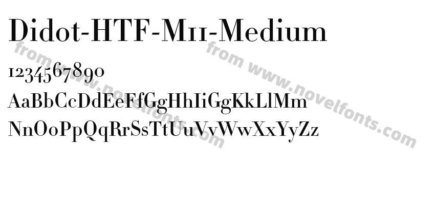 Didot-HTF-M11-MediumPreview