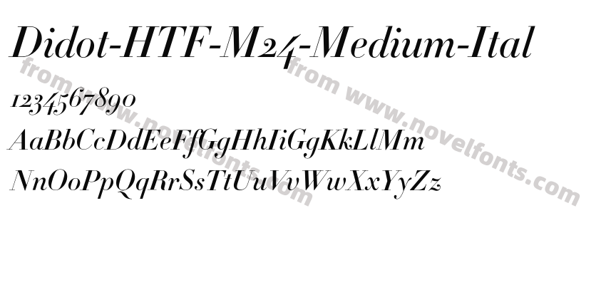 Didot-HTF-M24-Medium-ItalPreview