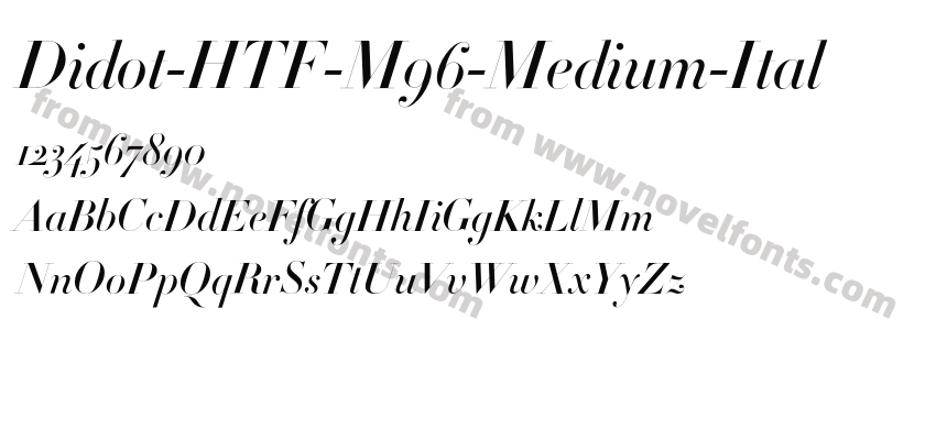 Didot-HTF-M96-Medium-ItalPreview