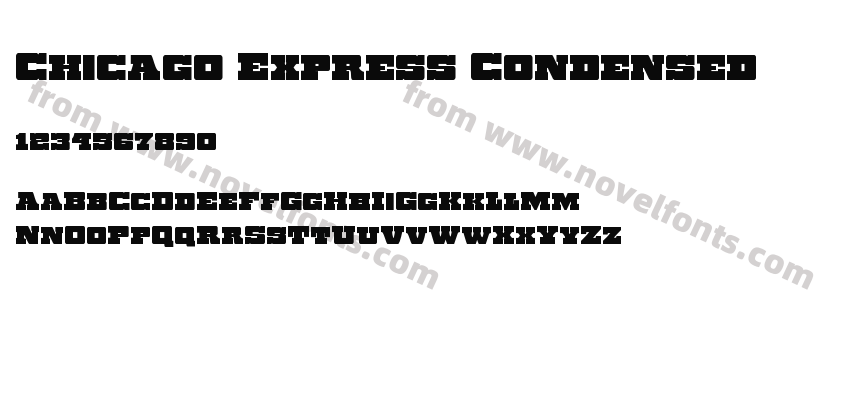 Chicago Express CondensedPreview