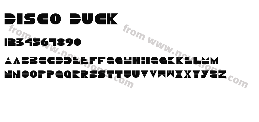 Disco DuckPreview