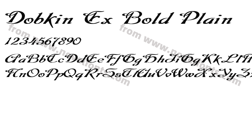 Dobkin Ex Bold PlainPreview