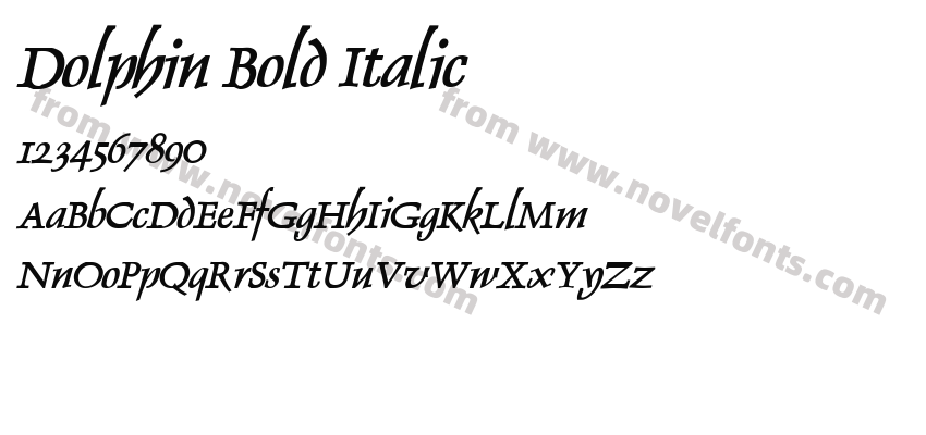 Dolphin Bold ItalicPreview