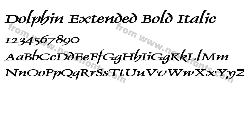 Dolphin Extended Bold ItalicPreview