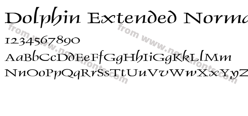 Dolphin Extended NormalPreview