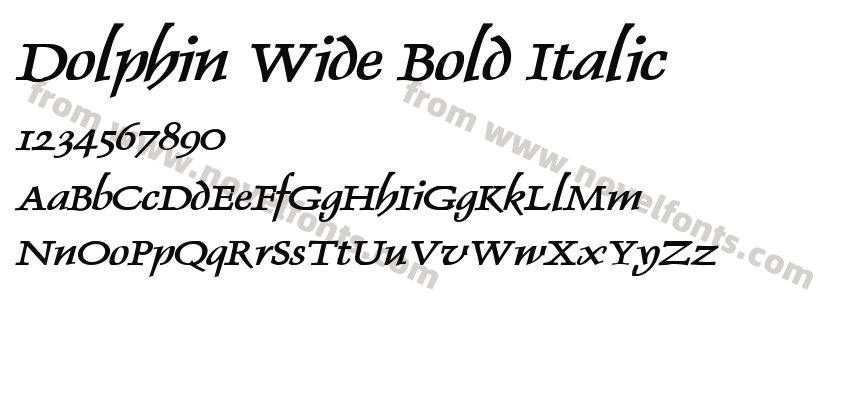 Dolphin Wide Bold ItalicPreview