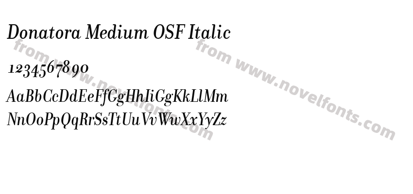 Donatora Medium OSF ItalicPreview