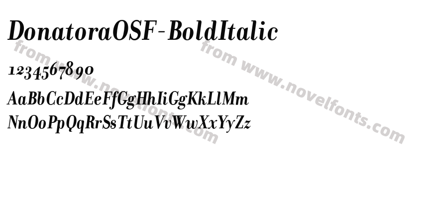 DonatoraOSF-BoldItalicPreview