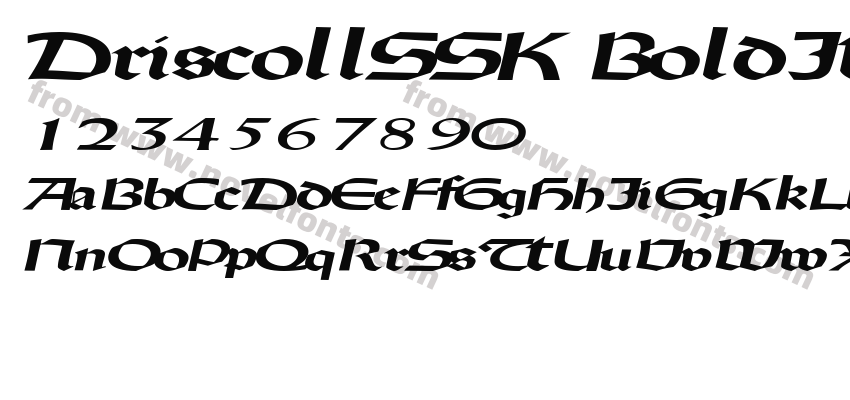 DriscollSSK BoldItalicPreview