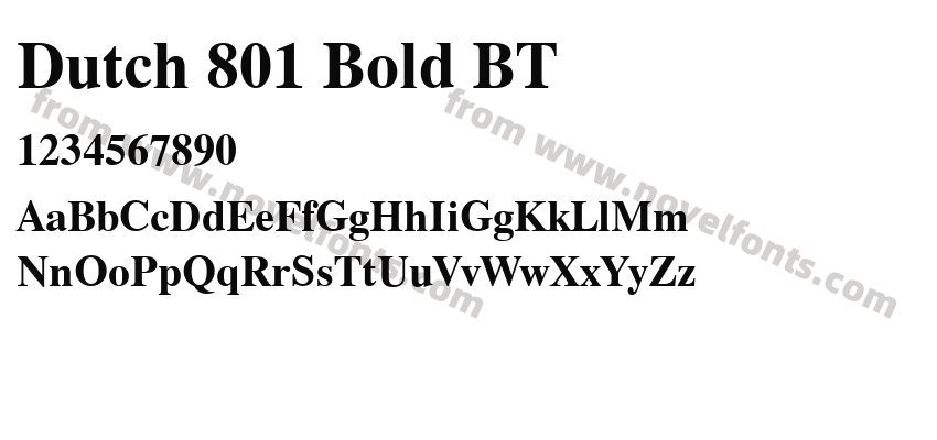 Dutch 801 Bold BTPreview