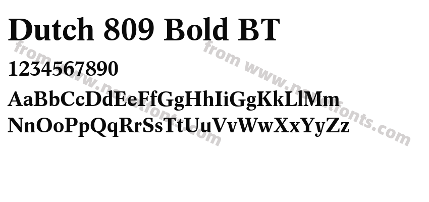 Dutch 809 Bold BTPreview