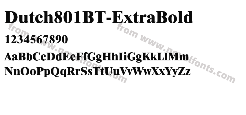 Dutch801BT-ExtraBoldPreview