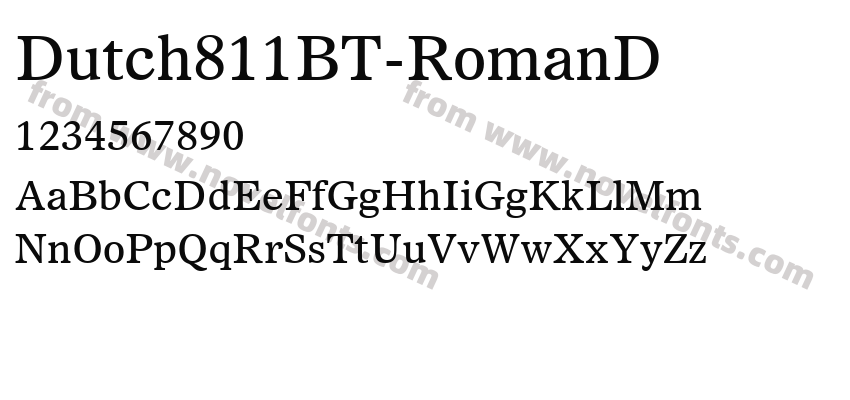 Dutch811BT-RomanDPreview