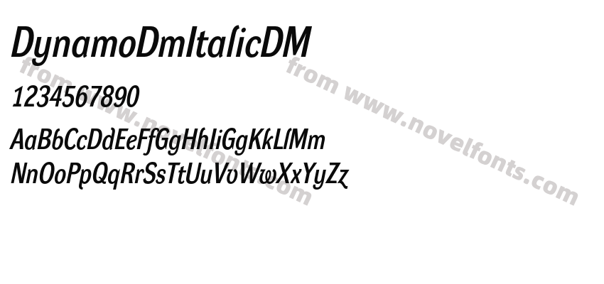 DynamoDmItalicDMPreview