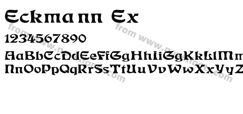 Eckmann ExPreview