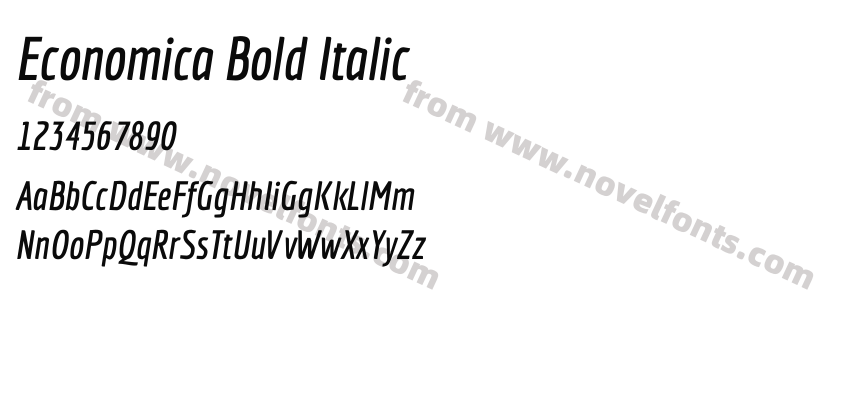 Economica Bold ItalicPreview