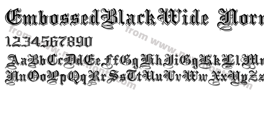 EmbossedBlackWide NormalPreview