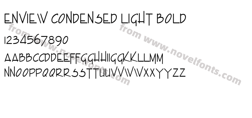 Enview Condensed Light BoldPreview