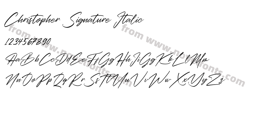 Christopher Signature ItalicPreview