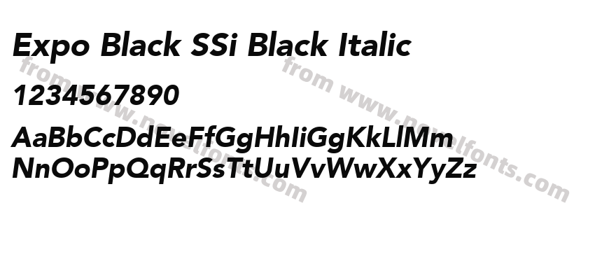 Expo Black SSi Black ItalicPreview