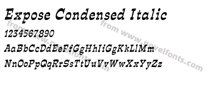 Expose Condensed ItalicPreview