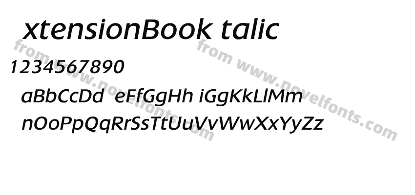 ExtensionBookItalicPreview