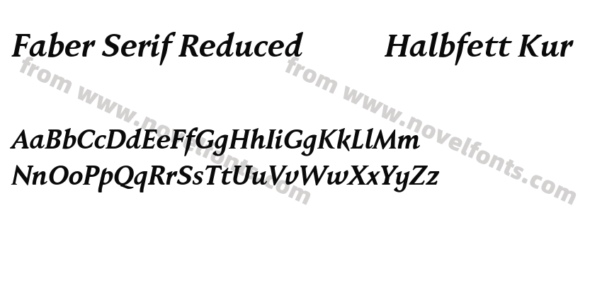 Faber Serif Reduced 76 Halbfett KurPreview