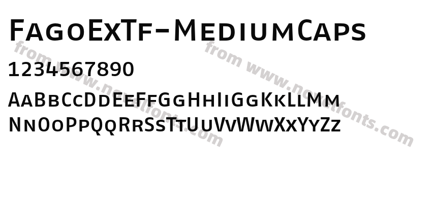 FagoExTf-MediumCapsPreview