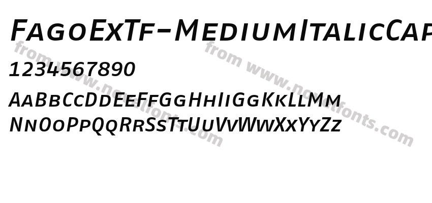 FagoExTf-MediumItalicCapsPreview