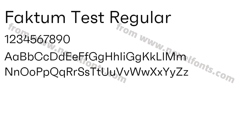 Faktum Test RegularPreview