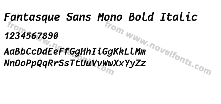 Fantasque Sans Mono Bold ItalicPreview