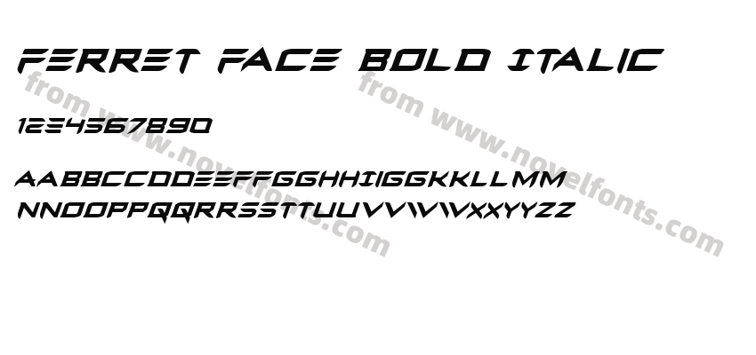 Ferret Face Bold ItalicPreview