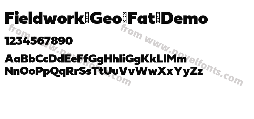 Fieldwork-Geo-Fat-DemoPreview